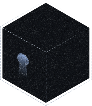 Black box - Traditional IT